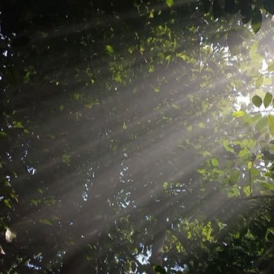 hebah71's profile picture. البايو غير متاح