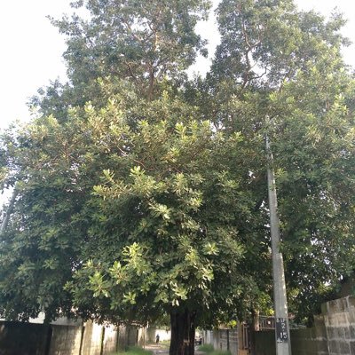Baba1662336's profile picture. Love and humanity has no computer in life and we are all one and we put all our trust and faith to lord 🙏🏿