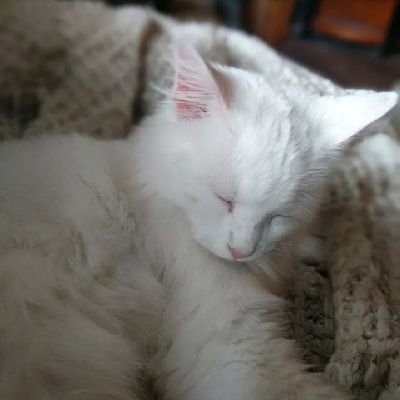 Kuiq_'s profile picture. my friends are so cool and cute | Discord @ Kuiq