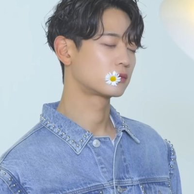shineefiles's profile picture. Any resemblance to actual person or event is purely coincidental