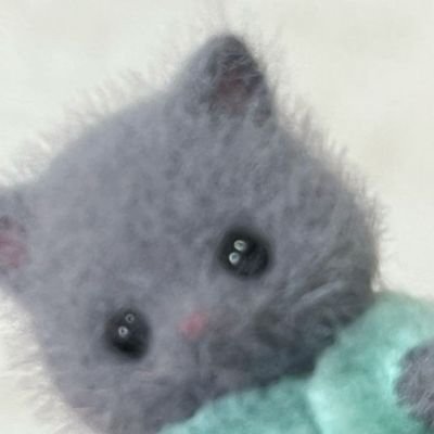 silencechoi1's profile picture. 그림계 근데 사담계터져서 여기서 사담 할랍니다/1차+2차/스타레일