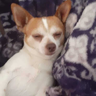 mommy_hug's profile picture. 