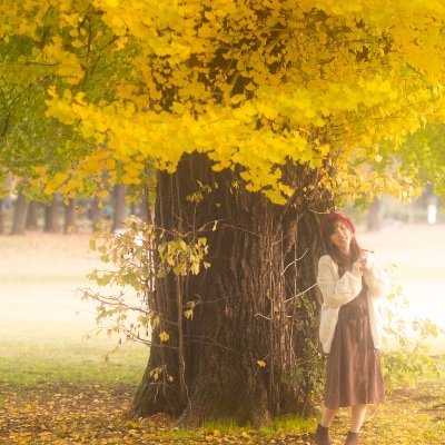 nozomi_pome's profile picture. ケンユウオフィス 預かり所属 大好きな犬と暮らしてます。好きな物は海老と読書です。📕🐶🦐ドラム練習中🥁