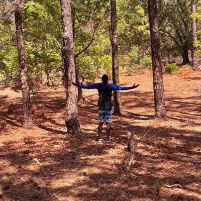 RigaldoMudonhi's profile picture. III