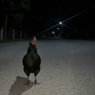 AudioCasting's profile picture. 