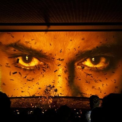 Shivam_ani's profile picture. Jai hind