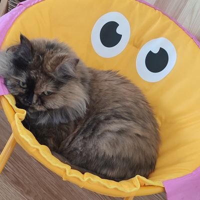 gladzqwerty's profile picture. 