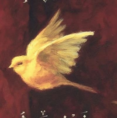 lolohh245's profile picture. 