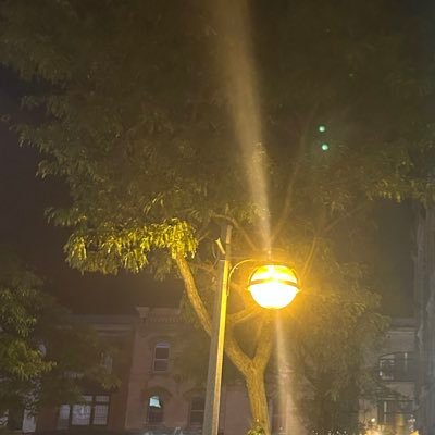 gr_z287's profile picture. No figure trader