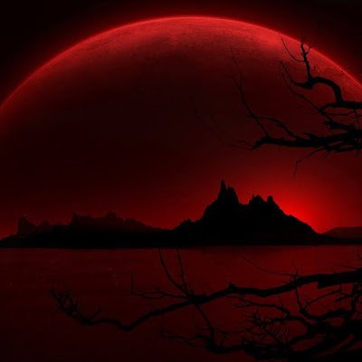 070zero070's profile picture. 