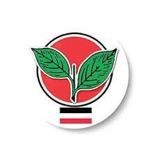 Kamalstwitt's profile picture. 
