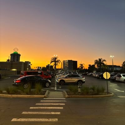 chmirandas's profile picture. 🪿