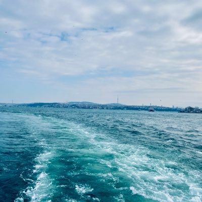 EcmelVeraK's profile picture. 