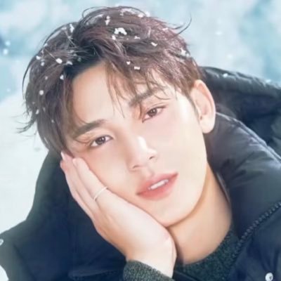 min9yu_me9u's profile picture. SEVENTEEN / ミンギュペン🐶 / ヒポチが好物