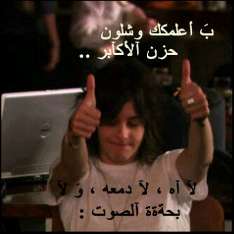 beesh_uidi's profile picture. 