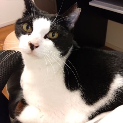 UEslBdLNwR14063's profile picture.