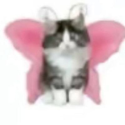 tottisconchile's profile picture.