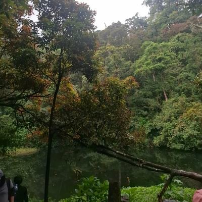 galuhiseng's profile picture. 