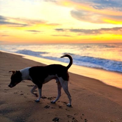 vijayarajg_'s profile picture. learning