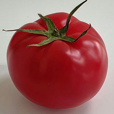 kyppmii's profile picture. 