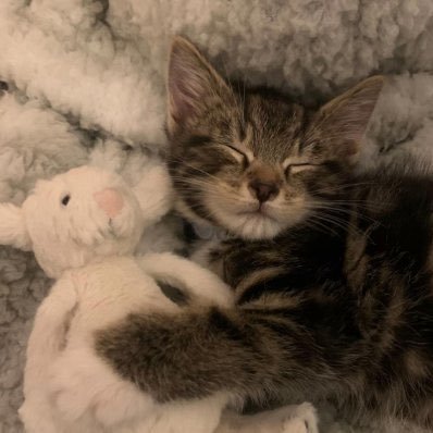 tweazygg's profile picture. Player For F/A | Business Inquires: @tipzzygg | Live At https://t.co/Hkyjix7DOX