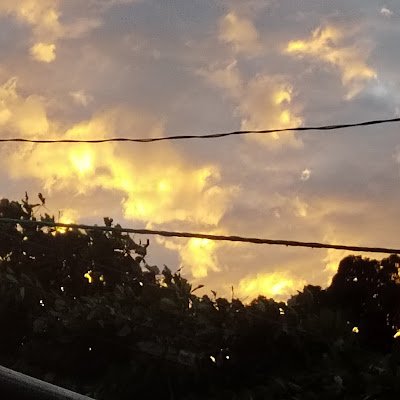 jorgeperez41768's profile picture. 