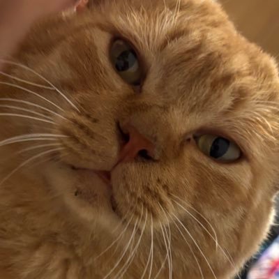 WatanabeS0907's profile picture. 