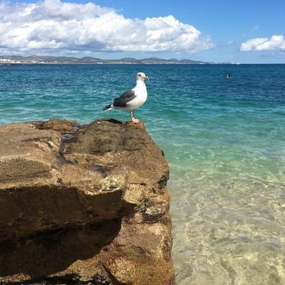 gustavo_ologbon's profile picture. GOD FIRST 📍📍