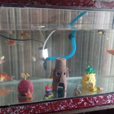 Mystick_Jr07's profile picture. 