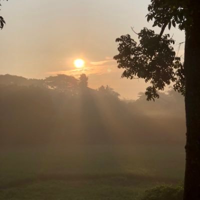 moontasiir's profile picture. 