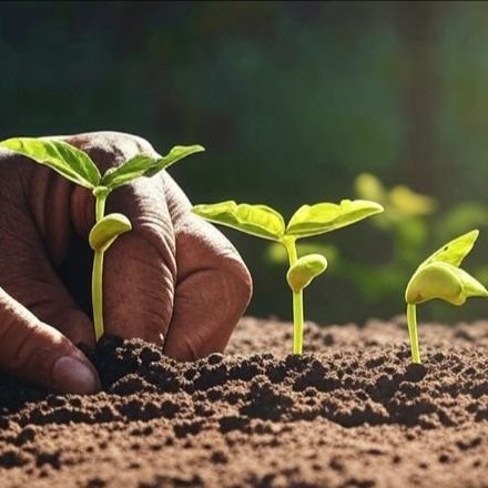 adisa_brod's profile picture. Web3 believer ⚡ | Testnet Deployer 🧩 | Crypto Community Builder 🌍
Let’s grow 🌱, earn & innovate together 💰