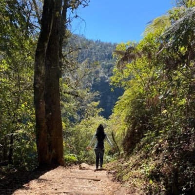 liz_vlnz's profile picture. There is a party in my head and no one is invited