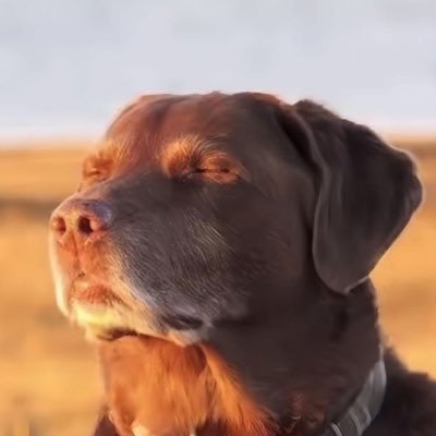 mmmbsmiifyc's profile picture. 