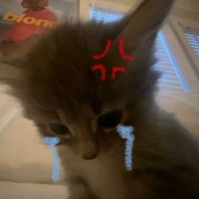 @xmdnlxjtlqkfdk0