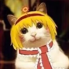 yumimi_kig's profile picture. 这里是玉米米🐱，哈基米属性极高的萌新kiger / 微社恐，性格温柔很好说话，喜欢有礼貌的孩子，如果感觉被冒犯会无视⚠️，想认识更多朋友 ，常驻广东。
单纯满足个人兴趣，不接一切推广。
      扩列请私信~