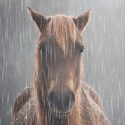 @p33shb0l