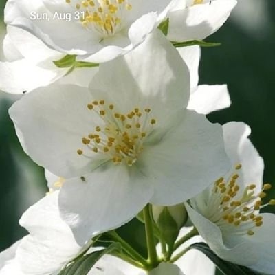 jagdish4723's profile picture. 