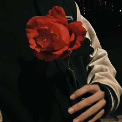 Si1vaaa798's profile picture. 哈基米南北绿豆