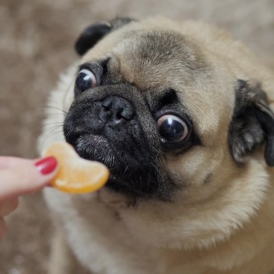 arisns_'s profile picture. Half psychologist, half human being