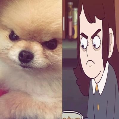 nakahara_16's profile picture. I just exist.