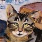shackletonscat's profile picture.