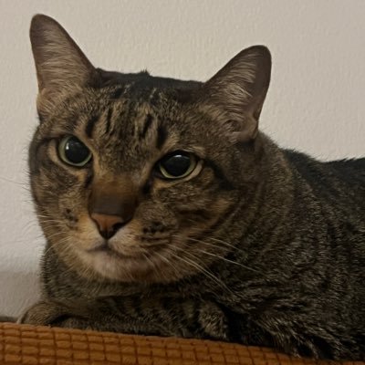 poonkprink's profile picture. read in peace