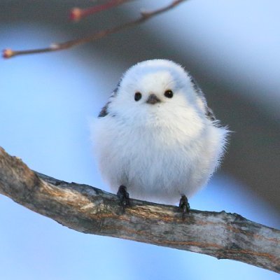 KVG6XnNvmtXremQ's profile picture. 株/不動産/太陽光/テスラ/トライアスロン/温泉/旅行/ロック/野鳥