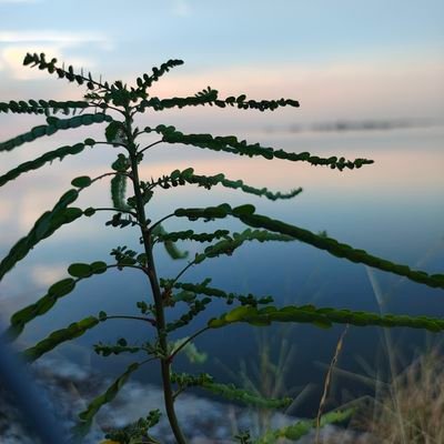 JPradeep02's profile picture. mbbs student