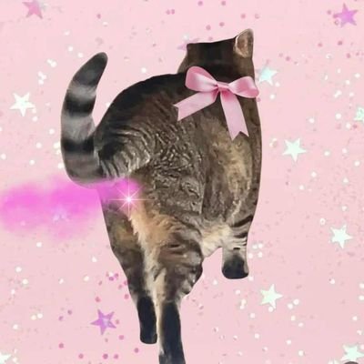 ssparklefartss's profile picture.