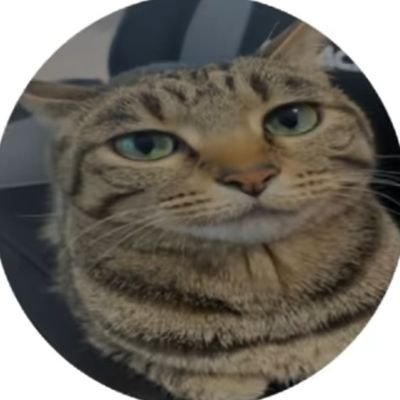 BennyVideos08's profile picture. 