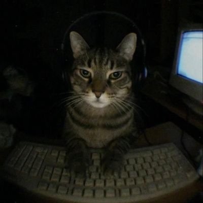 memeTONn's profile picture. News, airdrops, and trends.