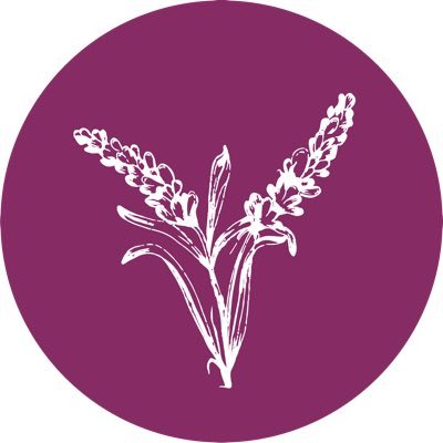 hausviolett's profile picture. 
