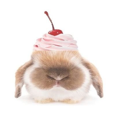 kucingmandarin's profile picture. skawngur's addict 🫵🏻🚶🏻‍♂️⭐💭🤒🩷