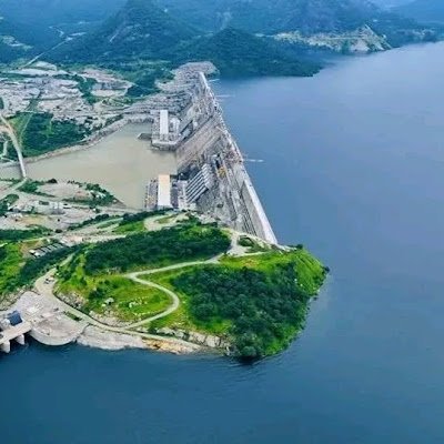 TafeseTame24799's profile picture. 